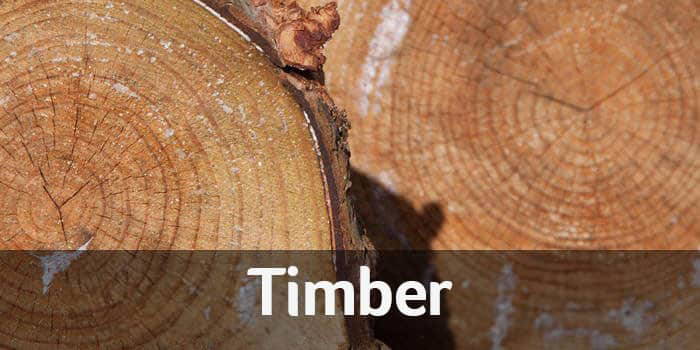 Timber sales at Staunton Harold Estate